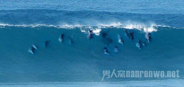 同心同行共绘蓝图 凝聚合力助推发展