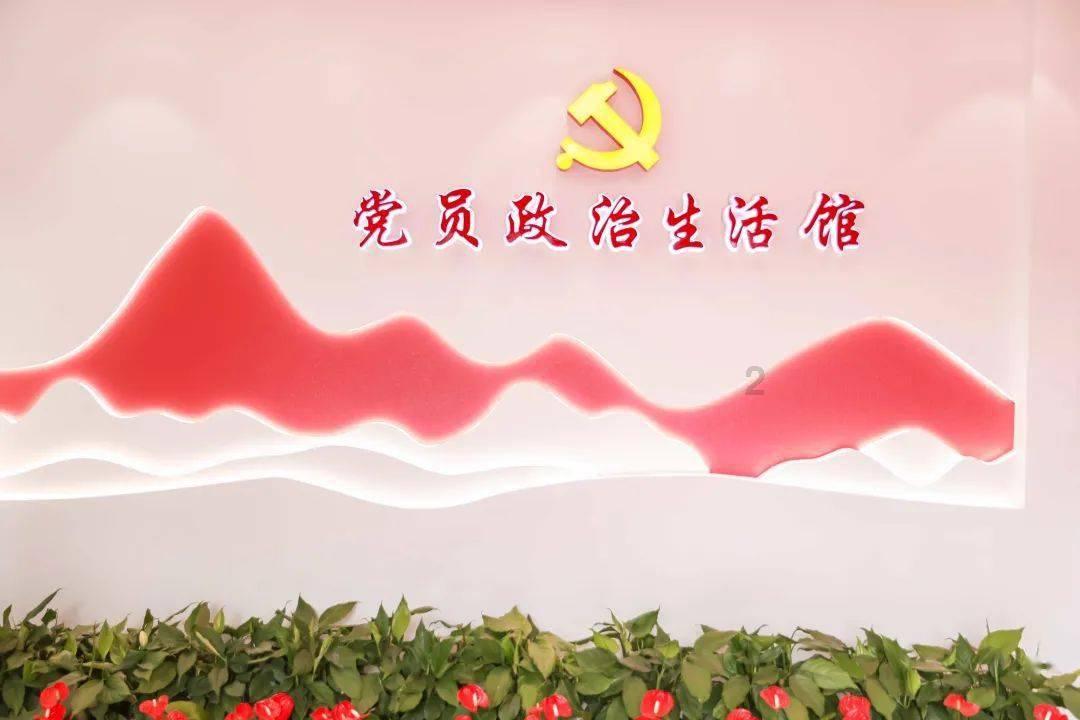 迷你汽车记忆卡