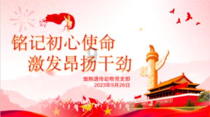 蒙城县脑瘫少年张凯的逆风飞翔